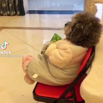 Try not to laugh 😂😂 funny video