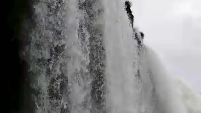 Perto das Cataratas do Iguaçu - Iguaçu Falls