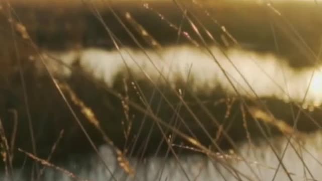 Lake surrounded by dry grass in the savanna