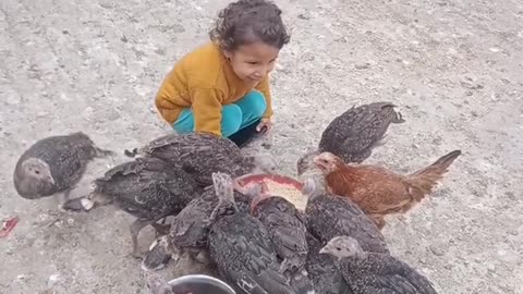 a girl plays with a chicken and feeds it