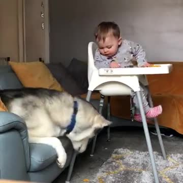 The way they scheme together😂