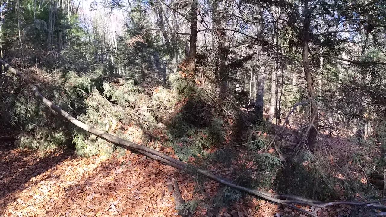 Gunpowder Falls River Wanderung - Alter Friedhof von deutschen Einwanderern aus den 1800s