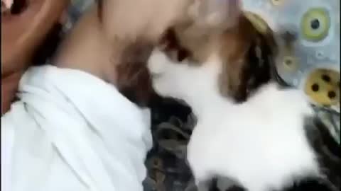 These animals are full of enthusiasm, keep you entertained