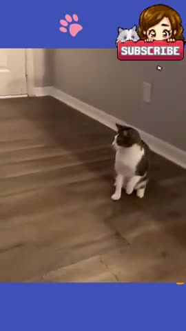 Watch the pets and their beauty 😍 😘