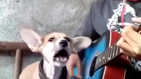 Dog singing with his hooman