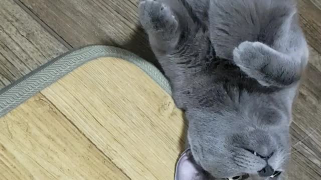Why is she doing this?