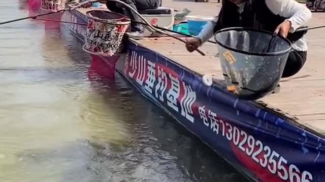 Best Asian Fishing Video 🐟