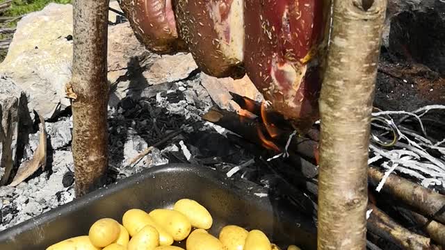 Cooking in the forest