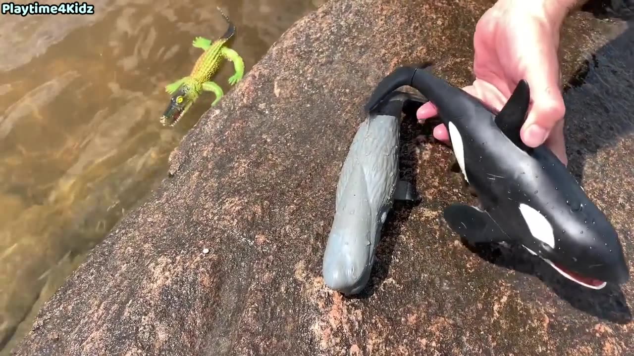 Sea Animal Toys This Summer at the Shore