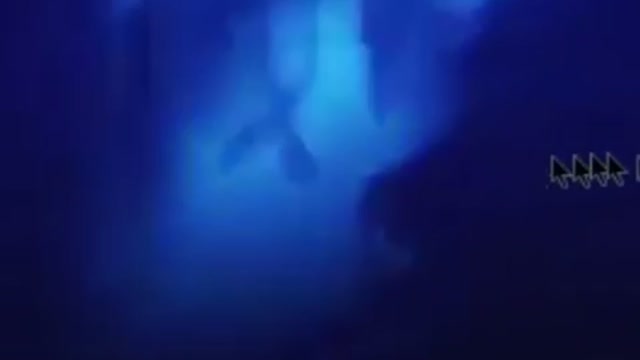 Yerma, CA. WTH is this?