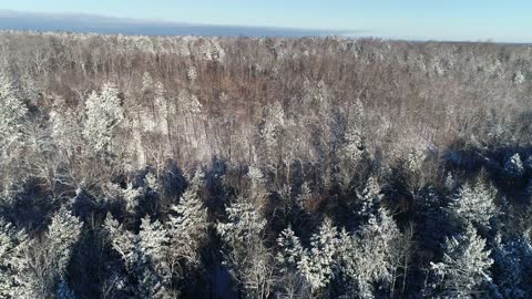 Maine Winter Day