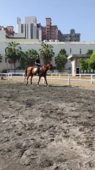 My friend riding a horse