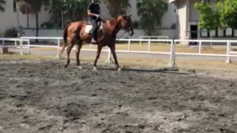 My friend riding a horse