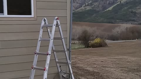More Hardie plank