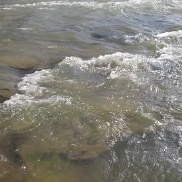 Beautiful creek with rapids