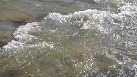 Beautiful creek with rapids