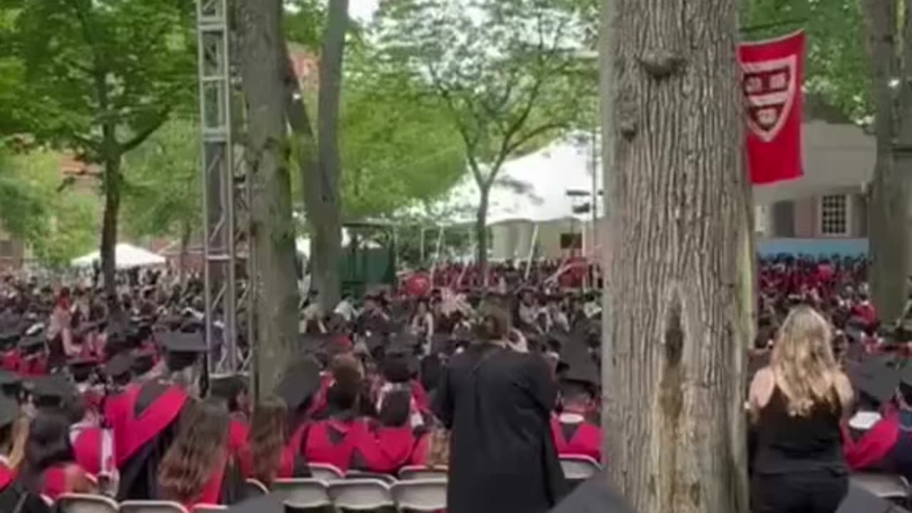 Havard university walk out