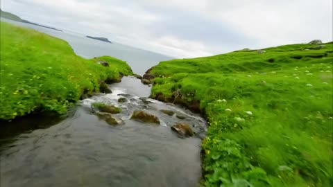 The Bridge in nature ❤️❤️❤️