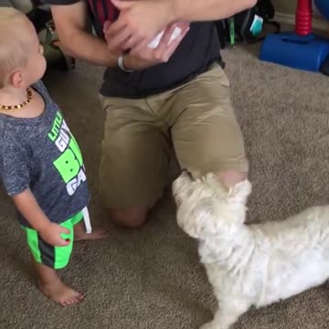 Perro conoce a bebé recién nacido. Le roba su gorro