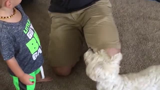 Perro conoce a bebé recién nacido. Le roba su gorro