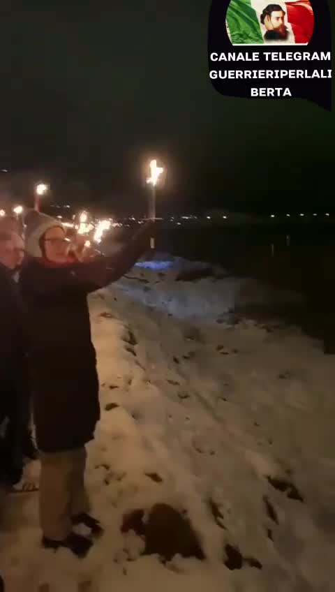 Protesta congiunta contro il Greenpass di attivisti austriaci e svizzeri sul confine