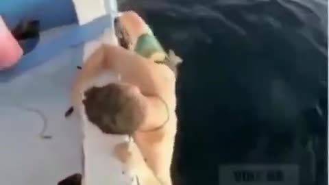 When the fisherman becomes the bait😳🦈