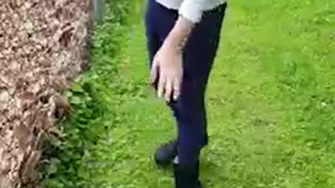 Heartwarming moment this little boy strokes a wild baby deer 😍