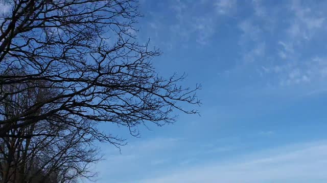 What Is That Ship?