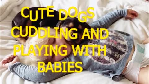 Cute babies playing with Dogs