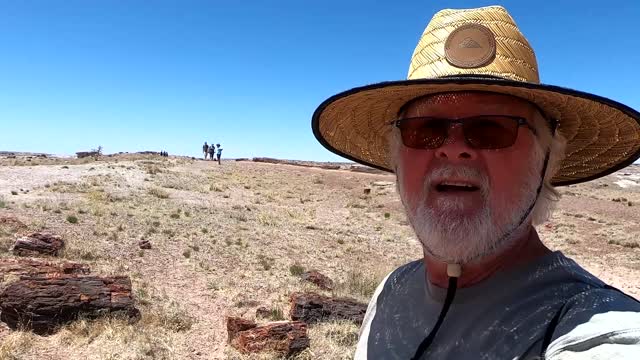 Petrified Forest in Arizona