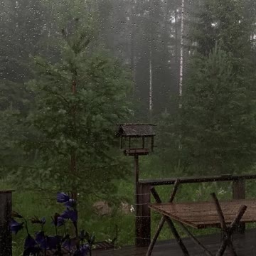 10 hours of Rain Sounds for Sleep #shorts