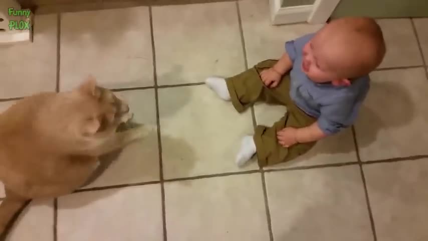 Funny Babies Laughing Hysterically at Cats