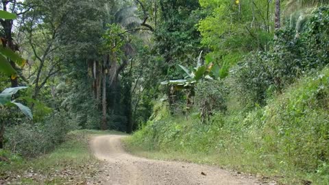 Venezuelan Landscape