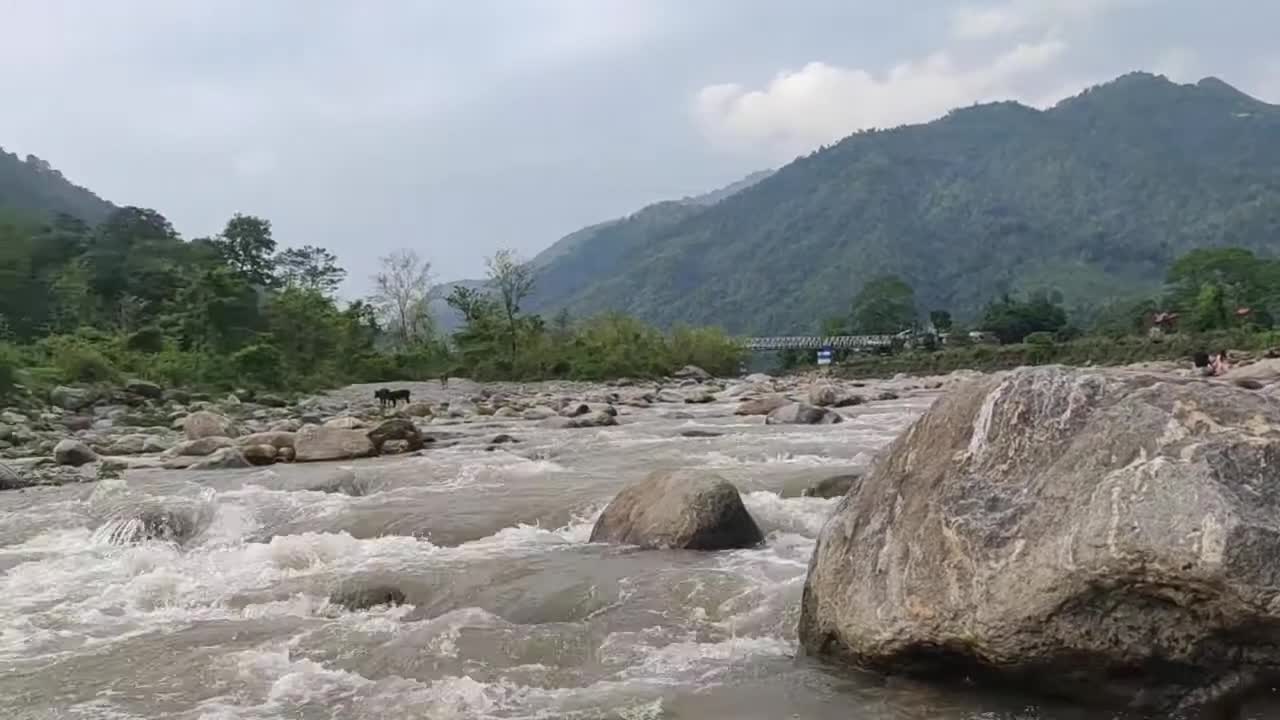 River Valley Dodhiya