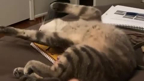 wheeeeeew I would need to call a chiropractor STAT!