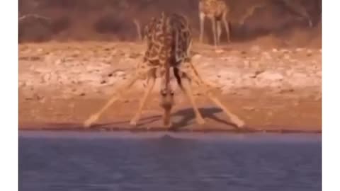 😯🧐🧐😂