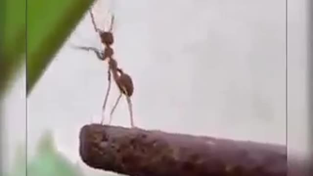 This is what happens to those who help Someone the truth of life