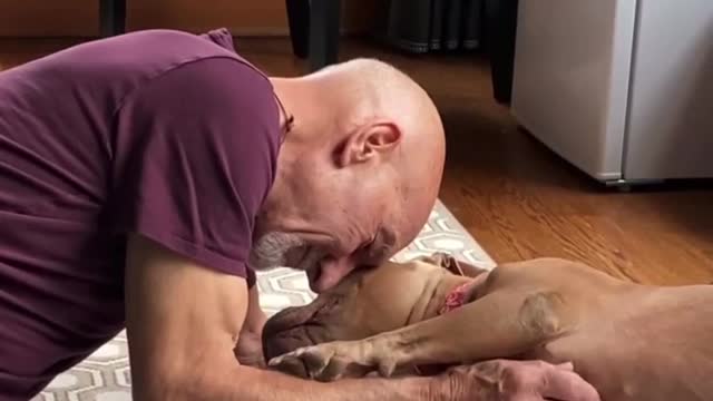 Sir Patrick Stewart with foster pup Zoe.