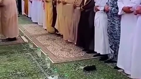 The Sound of Sheikh sudais