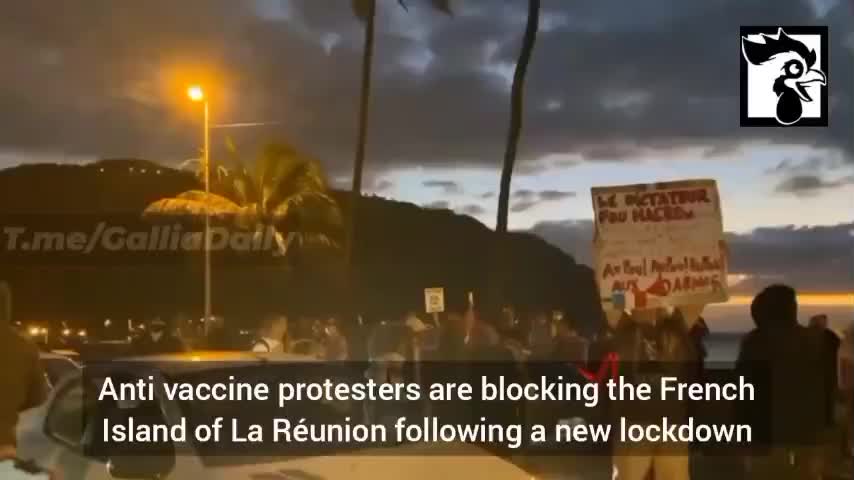 France: La Reunion Protesters Block Roads, Government Buildings, Won't Comply to Lockdowns.