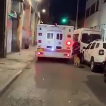 Loyal dog was running after the ambulance that was taking his human.mp4