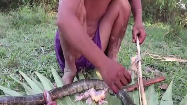 Primitive Technology Rescue Chicken Eggs from mother Snake Cooking Mother Snake Egg