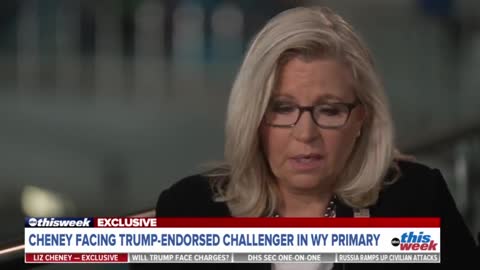 Disgusting RINO Liz Cheney Says We Need To Protect America From Donald Trump