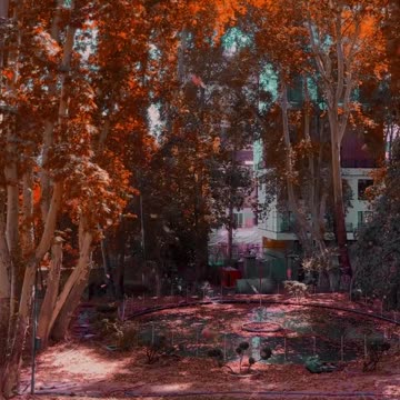 Fall is the creator of happiness