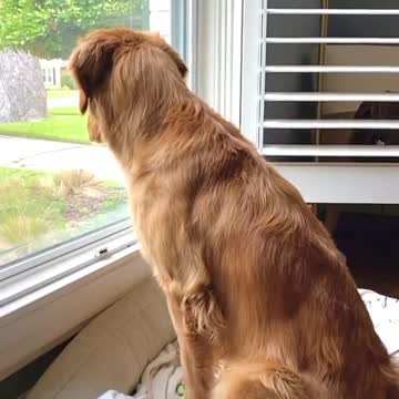 cutepupclipss Whasssuppp🐶😂