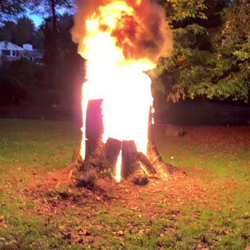 Burning my tree stump
