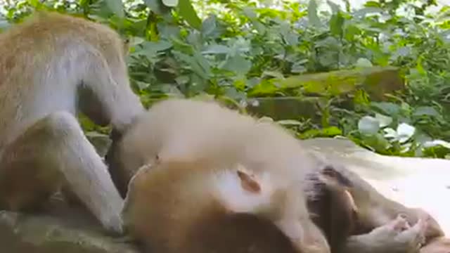 like to share some breaking news