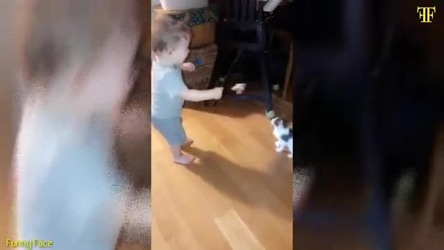 Cute baby playing with cat video ....Cat and babies playing moment video.