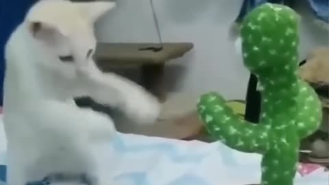 Funny pets3