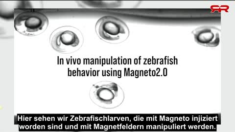 ➽1995 Voraussage von Massen-"Impfungen" zur Manipulation der Völker